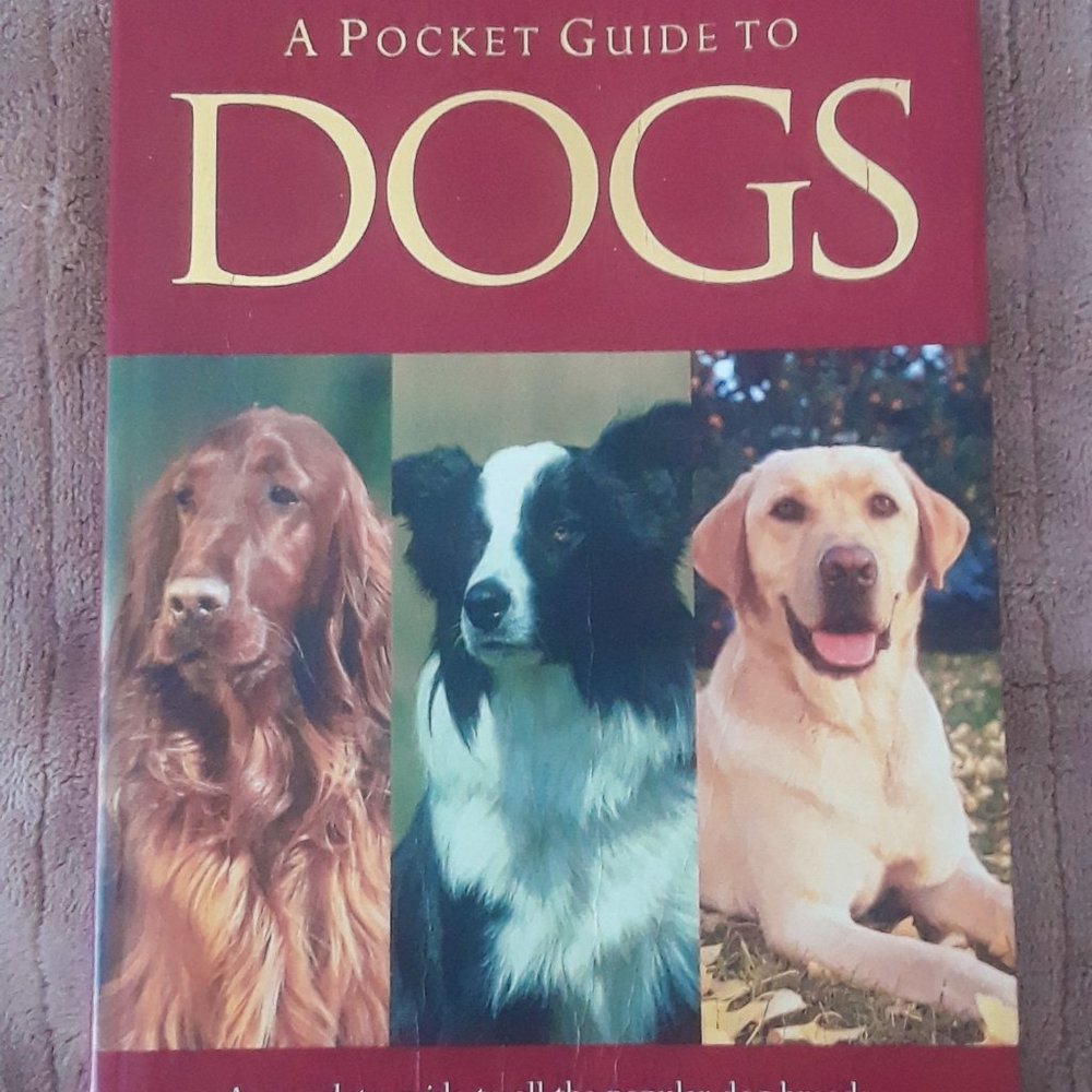 A Pocket Guide To Dogs Book
